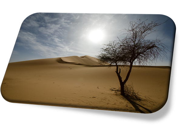 Tchad